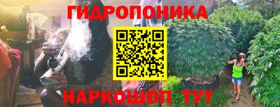 jwh Ирбит