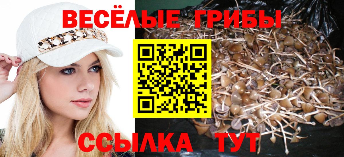 купить  сайты  Вход с VPN  Лангепас  Галлюциногенные грибы Cubensis 